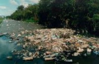 /album/galeria-de-fotos/image-jpg/